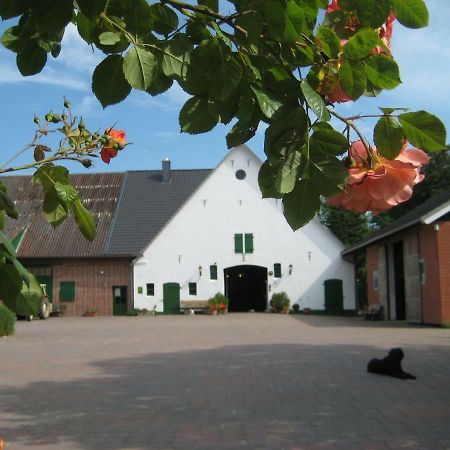Wrede-Hof Leilighet Cappeler Niederstrich Eksteriør bilde
