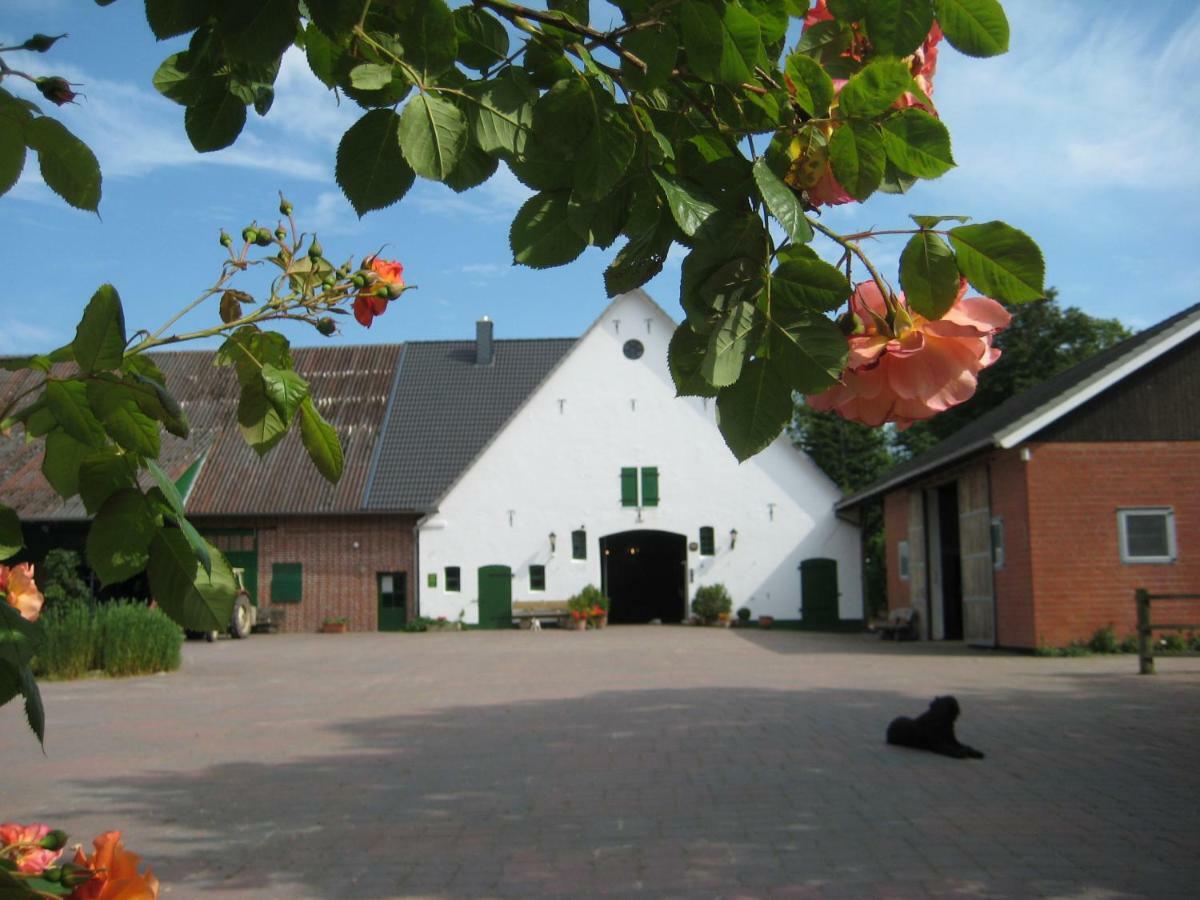 Wrede-Hof Leilighet Cappeler Niederstrich Eksteriør bilde